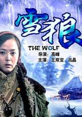 暗网色情片《雪狼2006》免费在线观看