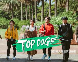 暗网禁区破解版《TOP DOG》免费在线观看