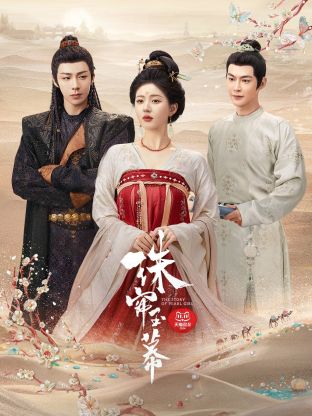 暗网禁区app《珠帘玉幕》免费在线观看