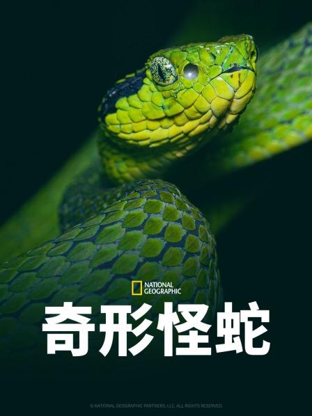 暗网色情片《奇形怪蛇》免费在线观看